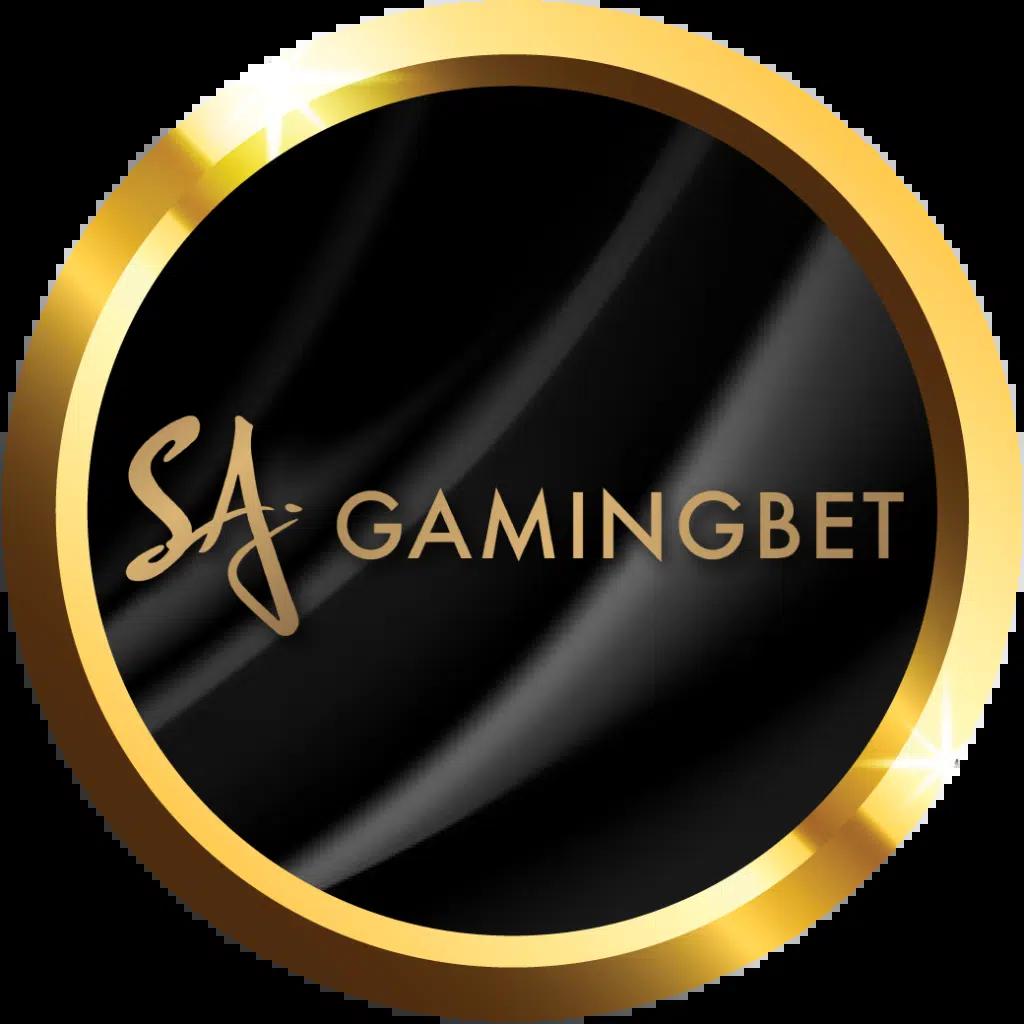 Slot Ninja แพลตฟอร์มคาสิโนออนไลน์เรียลไทม์ ส่งตรงความสนุกผ่านเกมสล็อตยอดนิยม