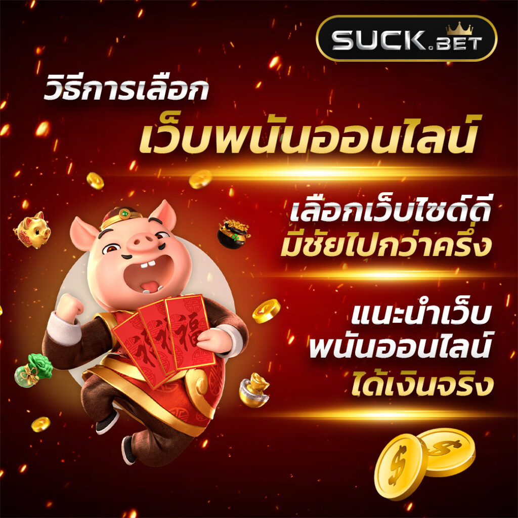 pgzeedto คาสิโนสร้างรายได้ได้อย่างมั่นใจ เล่นง่าย ได้เงินจริง