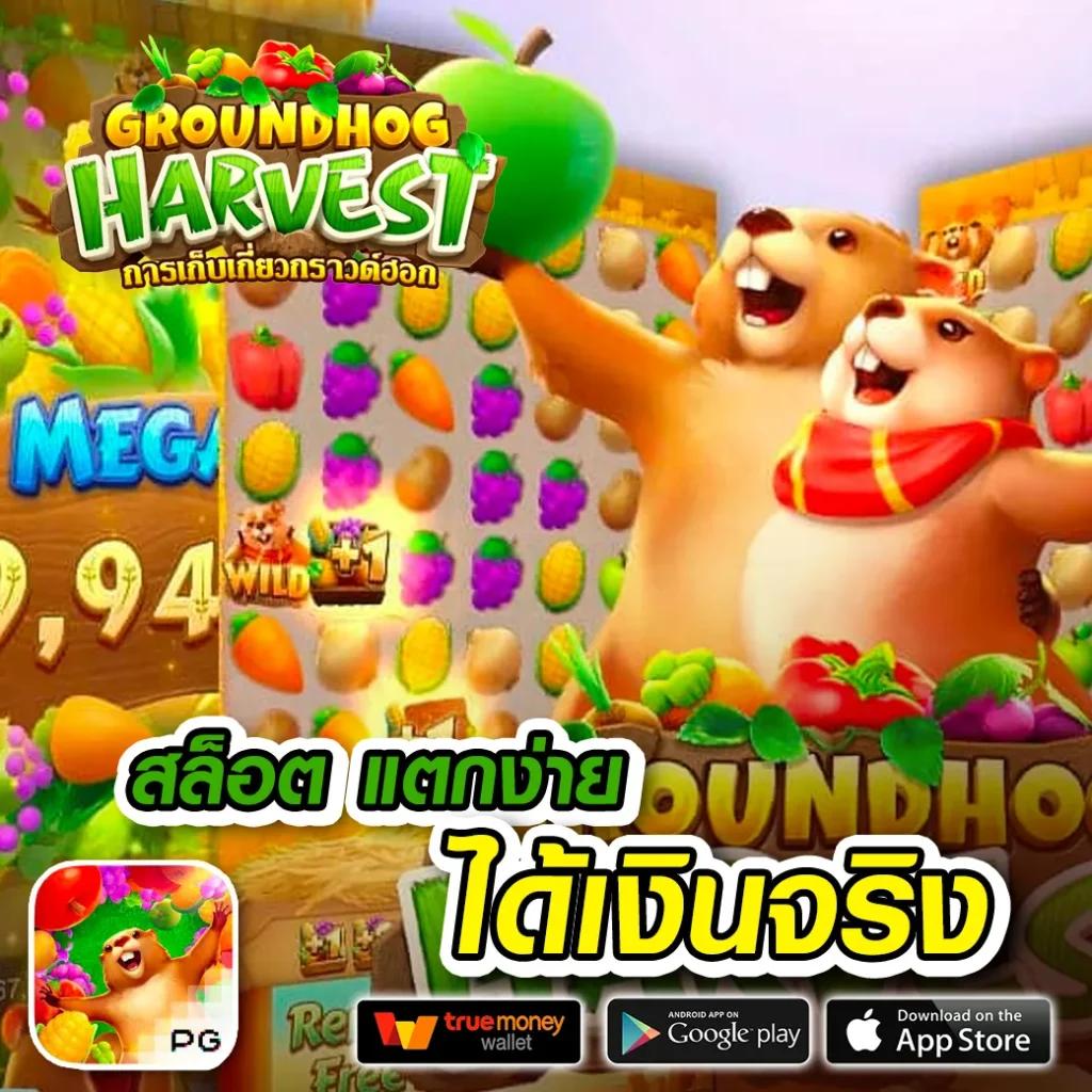 ทดลองสล็อต เว็บสล็อตใหม่ล่าสุด อัปเดตเกมใหม่ก่อนใคร